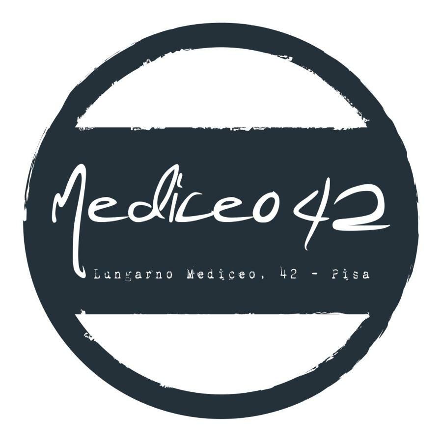 Mediceo 42 - Intero Appartamento Pisa Buitenkant foto